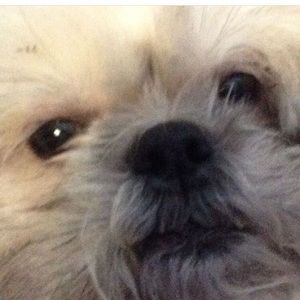 Meet your Posher, Mina